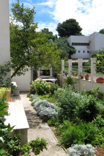 Apartments by the sea Podgora, Makarska - 2615 - Podgora - 3