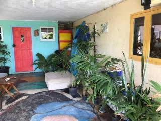 Magical Garden - Savaneta - 9