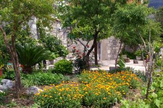 Apartments and rooms by the sea Slano, Dubrovnik - 2682 - Slano - 4