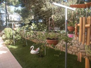 Apartments by the sea Artatore, Losinj - 2474 - Cunski - 3
