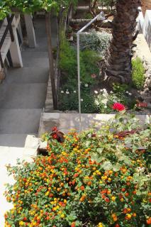 Apartments by the sea Milna, Vis - 2461 - Rukavac - 4