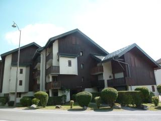 Studio confortable avec balcon et parking au centre du village - FR-1-624-121 - Samoëns - 7