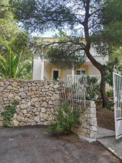Apartments with a parking space Rukavac, Vis - 2407 - Vis - 8