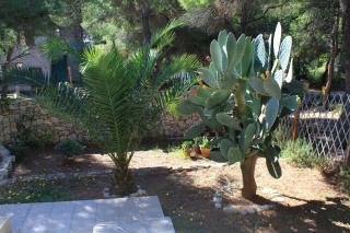 Apartments with a parking space Rukavac, Vis - 2407 - Vis - 3