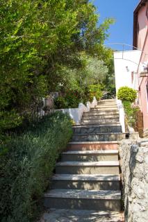 Apartments by the sea Mali Losinj (Losinj) - 2489 - Mali Lošinj - 4