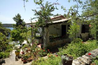 Apartments by the sea Mali Losinj (Losinj) - 2493 - Mali Lošinj - 9