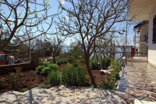 Apartments by the sea Podaca, Makarska - 2590 - Podaca - 4