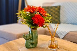 Anavai apartment - Papeete - 4