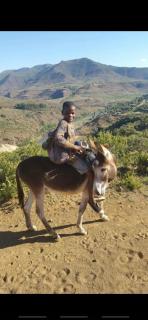 Twin Peaks Cottages and Horse Trekking - Maseru - 4