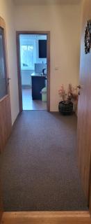 Apartmán DANY Hanušovice - Hanušovice - 3