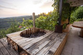 Vineyard cottage Sonce - 9