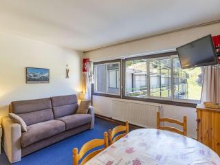 Studio cabine au centre avec accès direct aux pistes - FR-1-400-101 - Eaux-Bonnes - 5