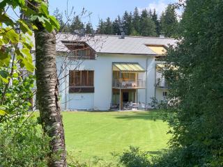 Apartment Flims Waldhaus - Surselvapark A4 - Flims - 2