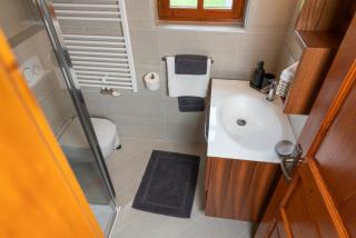Chalet Ajda - Bohinj - 1
