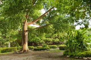 Hotel Irotama del Mar - 1