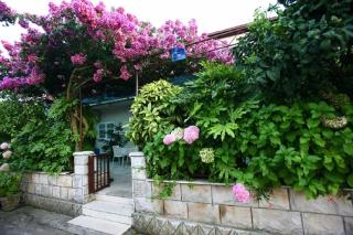 Apartments by the sea Loviste, Peljesac - 15150 - Lovište - 0