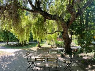 Harzhotel Warnstedter Krug - Thale - 8