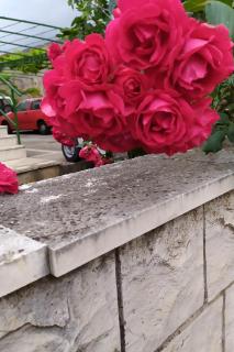 Apartments by the sea Orebic, Peljesac - 10104 - 1