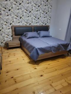 guest house TSVARA - Vani - 4