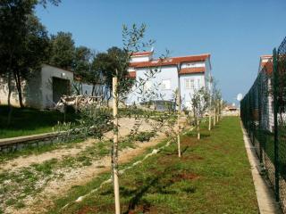 Apartments and rooms with WiFi Vrsar - Porec - 3007 - 5