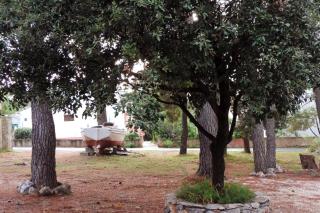 Apartments by the sea Mirca, Brac - 2886 - Mirce - 3