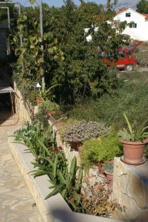 Apartments with a parking space Mirca, Brac - 2838 - Mirce - 3