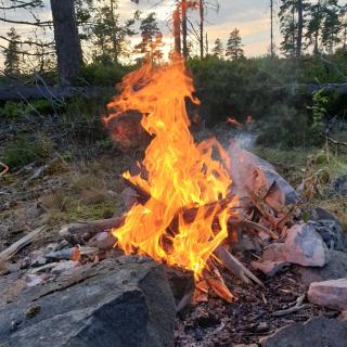 Cabin near lake and beautiful nature reserve. - Bodafors - 1