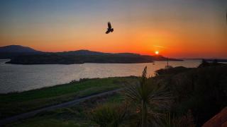 Seafront house with own private pier in Gunpoint, Schull, West Cork - Seafort - 9
