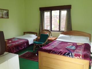 New Pokhara Lodge - Pokhara Lakeside - Pokhara - 6
