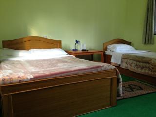New Pokhara Lodge - Pokhara Lakeside - Pokhara - 5