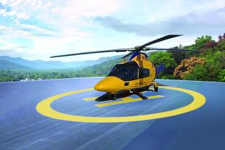 Holiday Vista Thekkady a premium hotel near periyar wild life sanctuary with sky view pool - Thekkady - 8