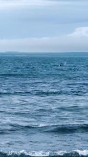 4 Sinclair bay lodges - 3