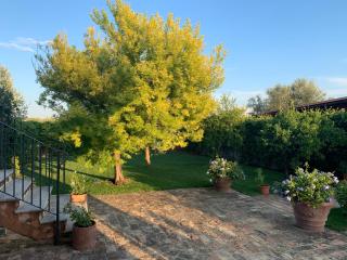 Appartamento Mimosa - Ripa Teatina - 8