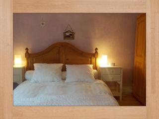 LES LILAS - Sainte-Marie-aux-Mines - 9