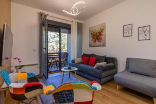 Vila Pekovic Blue-Apartman PAMA - Zlatibor - 0