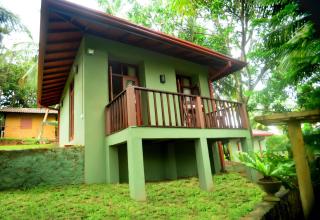 Tropical Retreat - 2