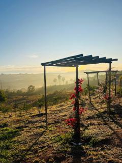 Pousada Dona Terezinha - 8