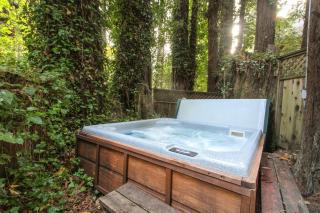 Clearheart Grove - Guerneville - 9