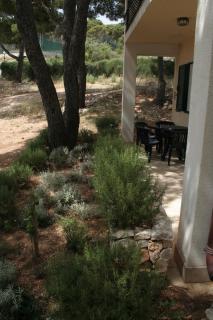 Apartments by the sea Rogoznica - 3094 - Rogoznica - 5