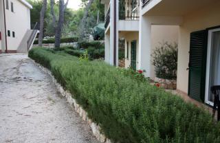 Apartments by the sea Rogoznica - 3197 - Rogoznica - 4