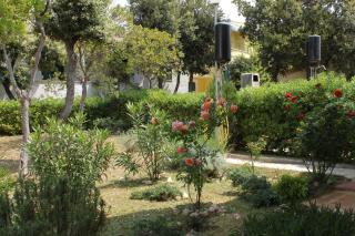 Apartment Petrcane 3300b - Petrčane - 3