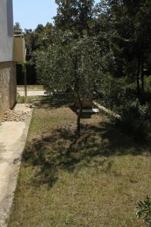 Apartments by the sea Petrcane, Zadar - 3288 - 3