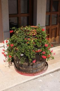 Apartments by the sea Novigrad - 3349 - 3