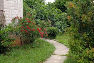 Apartments with WiFi Jadranovo, Crikvenica - 3237 - Jadranovo - 4