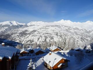Spacieux 4 pièces à Vallandry, 8 pers, proche pistes, parking - FR-1-411-849 - Landry - 8
