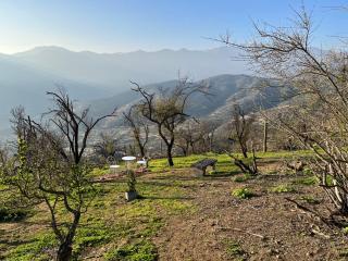 Loma de las Maravillas - Curacaví - 1