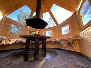 Northern Light Villa Ylläs with a Jacuzzi - Ylläsjärvi - 4
