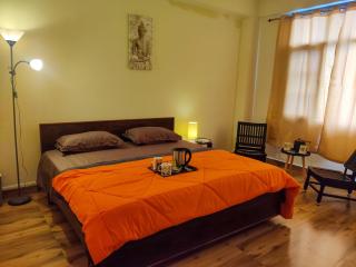 Stunning Views, Jujurana Homestay Shoghi ! 3 Apartments Near Simla - 0