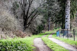 Drumreagh Cabins - Deloraine - 7