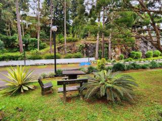 Lovely apartment in Genting Highlands. - Resorts World Genting - 5